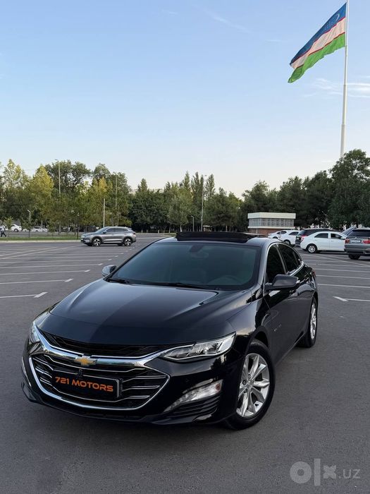 Malibu 2 premer 2023