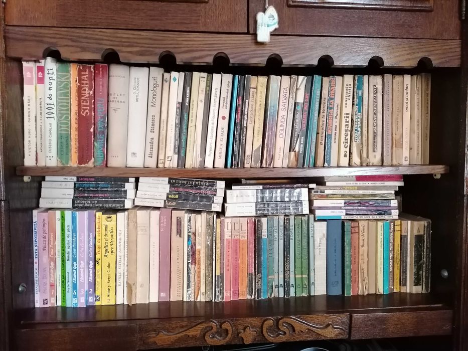 carti beletristica literatura diverse