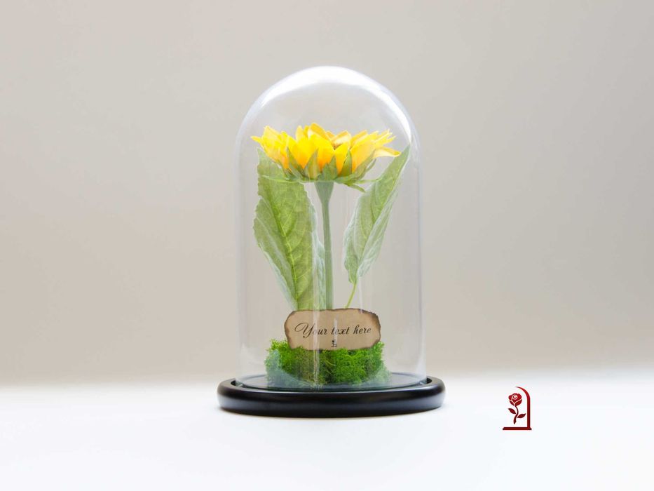 Вечен Слънчоглед в Голяма Стъкленица със Скандинавски Мъх / Ръчно изработен Подарък за Рожден Ден на Жена / Оригинален Подарък за Съпругата