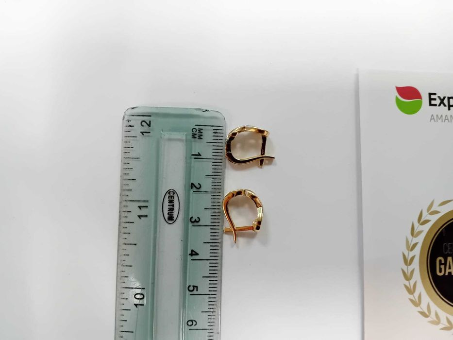 (Ag33) Cercei Aur 14K/Garantie 2 ani