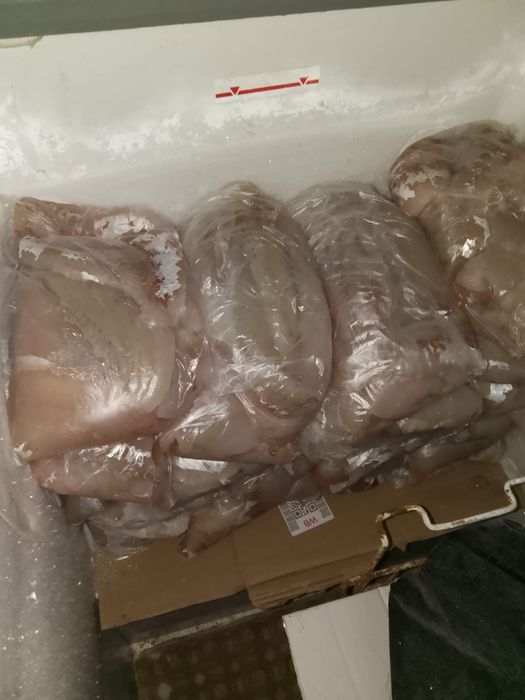 Филе Судак , фарш свежий 2000 , 1500