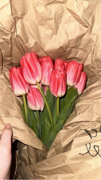 Алматинские тюльпаны