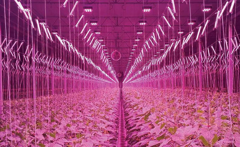 Фитолампа линейная 350Вт