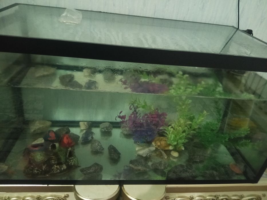 Срочно продаётся аквариум