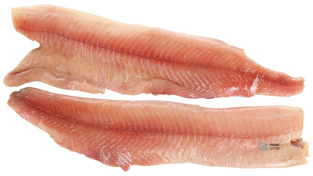 Свежее филе щуки! Чистое мясо рыбы