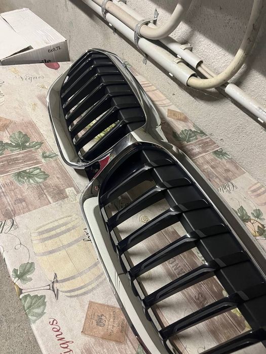 Бъбреци BMW G20/G21