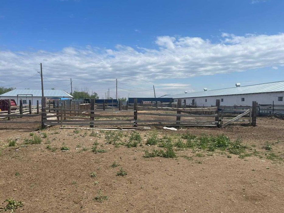 Животноводческая база