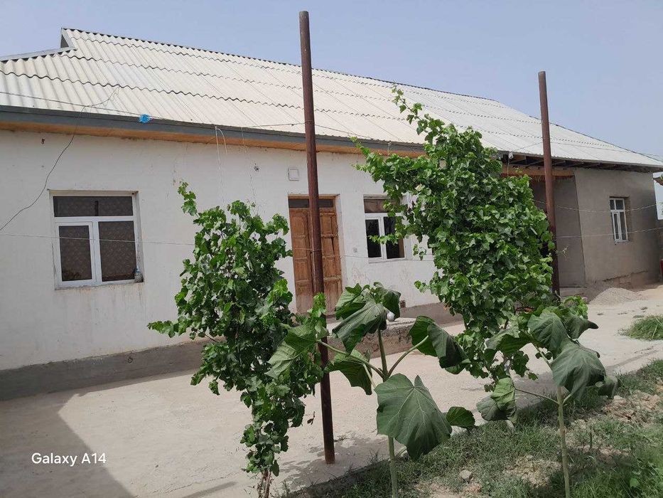 Termiz tumani dostlik maxallasida 7 sotih yer 4 hona uy sotivda