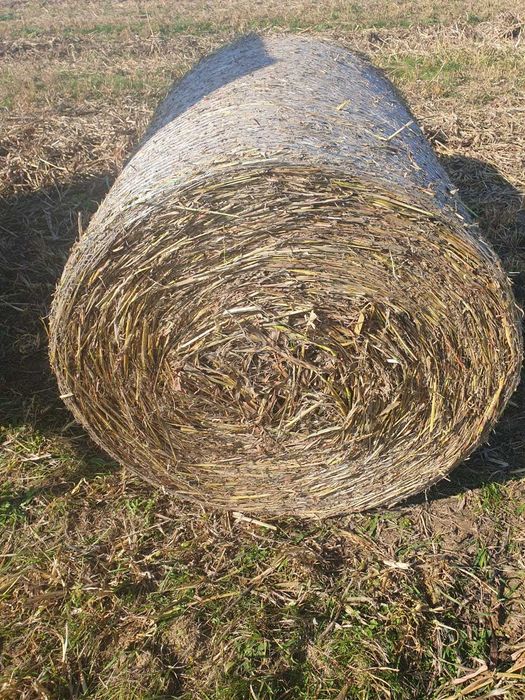 Baloti rotunzi lucerna, fan, paie
