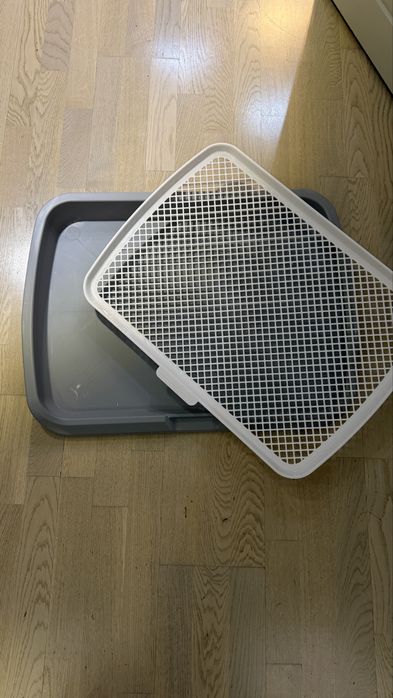 Лоток для собак