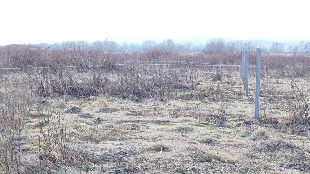 23 ari intravilan Bușag