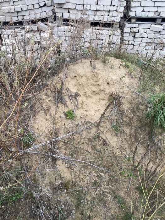 Продам земельный участок