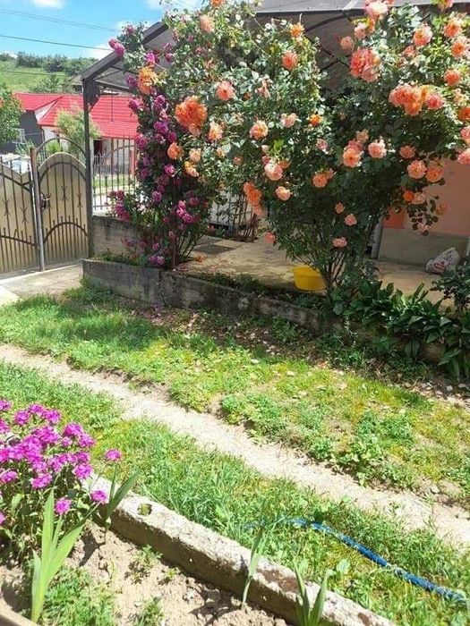Investiție la cheie CASA+ANEXE ELECTRIC CASTEL FOTOVOLTAICE  5 kw cu baterii consum la curent ultima generație în Bonțida Cluj  investitie  rentabila