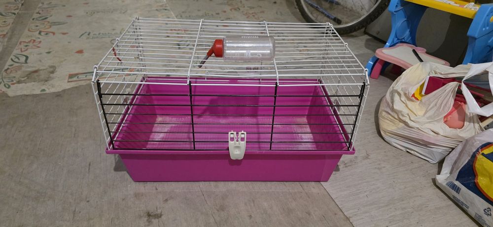 Cusca animale de casa