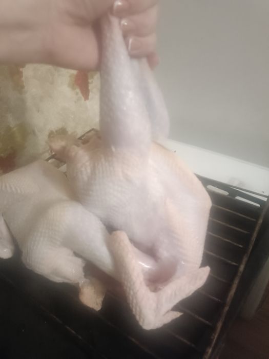 Курятина. Домашняя