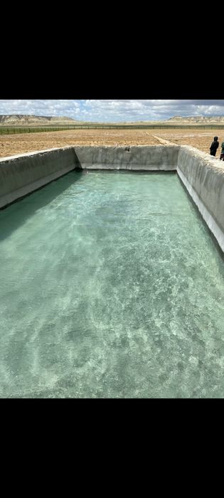 Егіншілікке жалға құнарлы жер телімі беріледі /Плодородная земля в аре