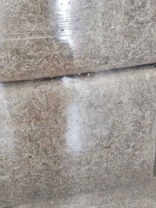 Коноп за строителство(конопени стърготини), конопобетон. Внос: Франция