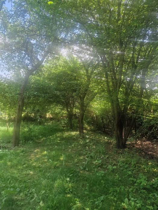 Продава се Къща в с. Ковачевци, Област Перник - 160 кв.м за 478 €/кв.м - Снимка #11