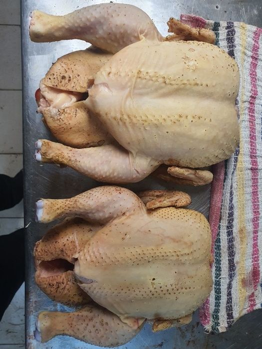 Домашнее мясо птицы