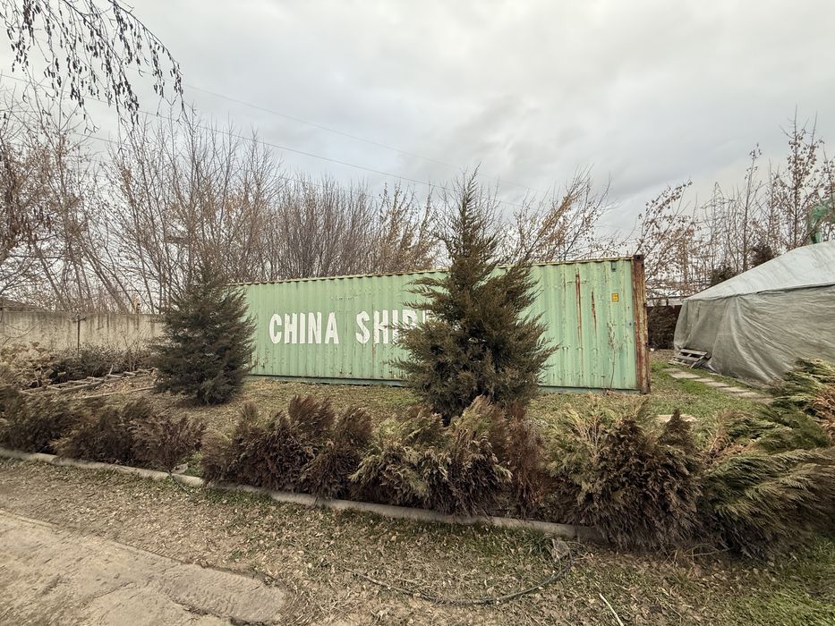 Морской контейнер