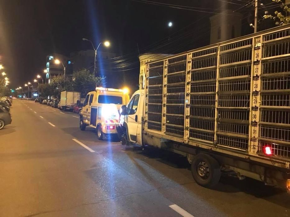 Tractari Auto Pitesti