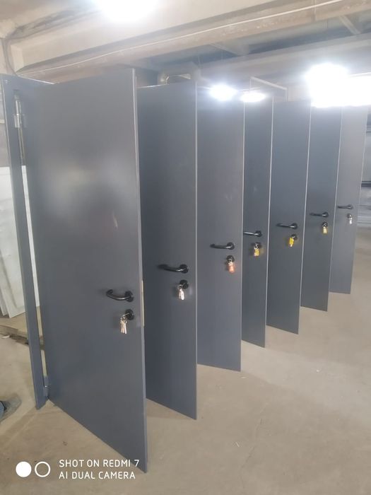 Входные железные двери