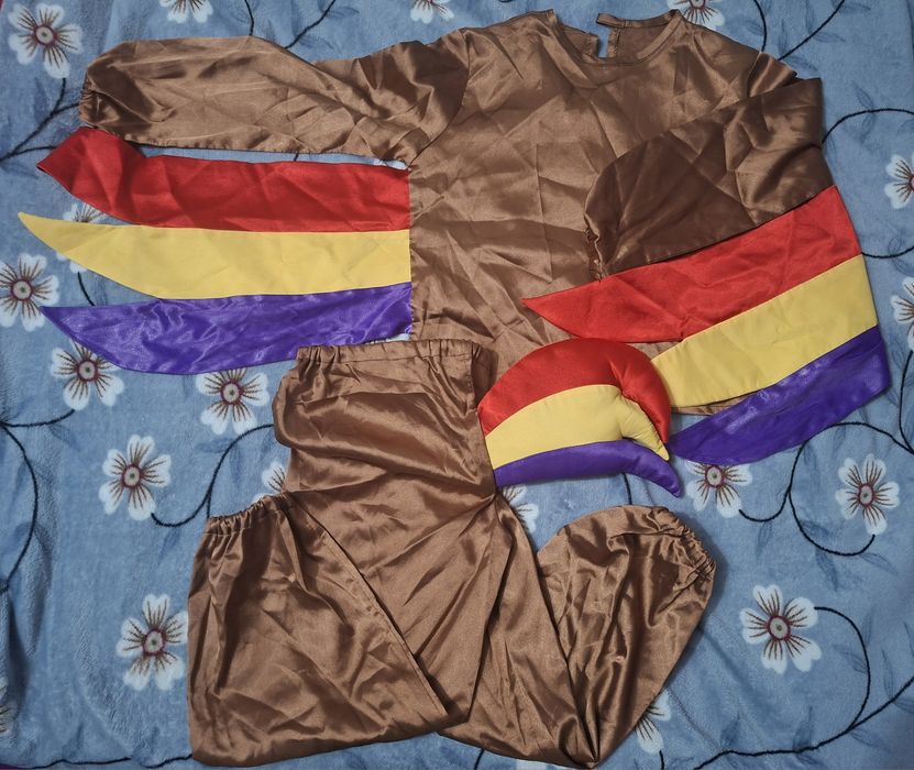 Костюм петуха и шапочка петрушки