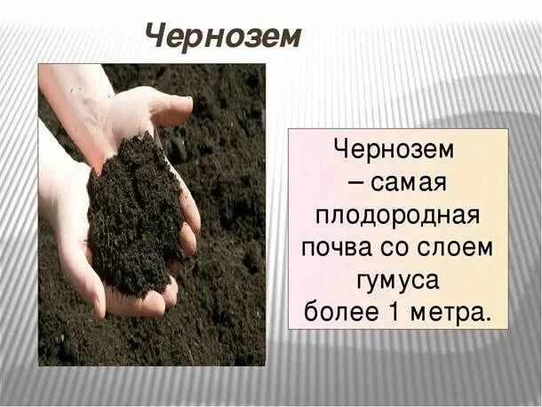 Чернозём Биогумос Достаква
