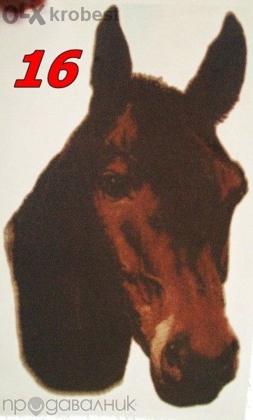 Щампи / Апликации за фланелки 5 бр.- 3€ - лепят се с ютия или преса