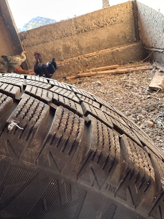 Балоны б/у R15 в