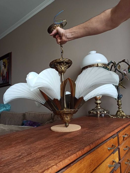 Полилей Арт Деко, 6-ца