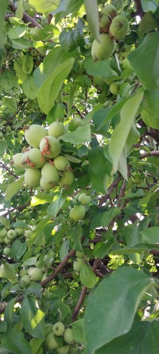 Продаётся дом  р-он юбилейной заправки