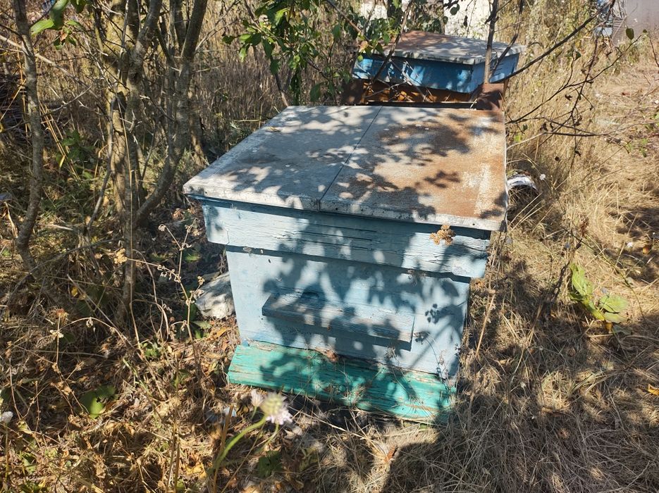 Кошери и магазини