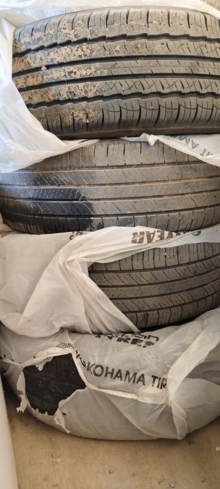 Ассалаумағалейкум