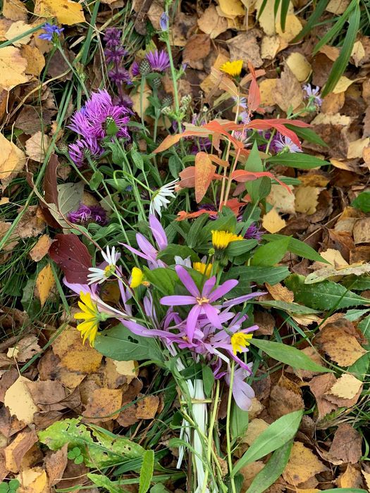 Vand teren Breaza, 10.000 mp