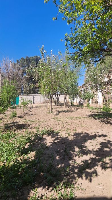 Limonariyada yer sotiladi