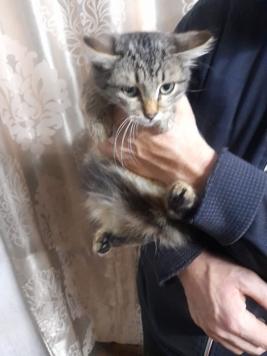 Мальчик в добрые руки