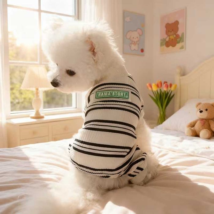 Одежда для кошек и собак