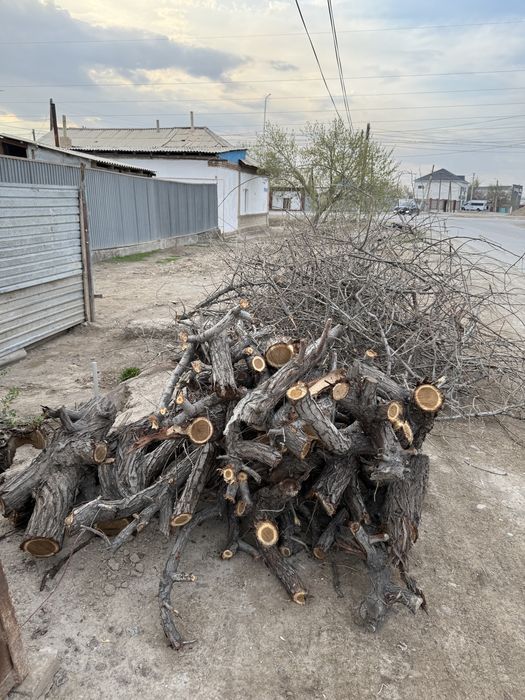 Отдам бесплатно дрова/ ветки/ опилки от стройматериалов