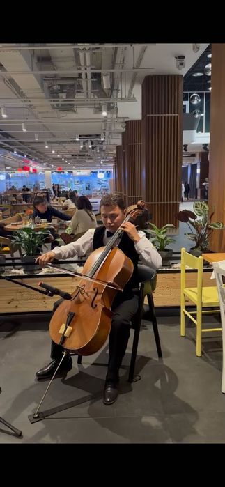 Виолончелист на Ваш праздник