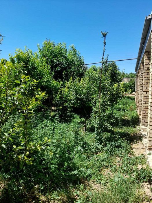 Қибрай Тумани Шалола Махалласида Ховли Сотилади