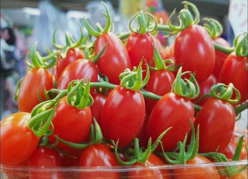 Рассада овощей и цветов