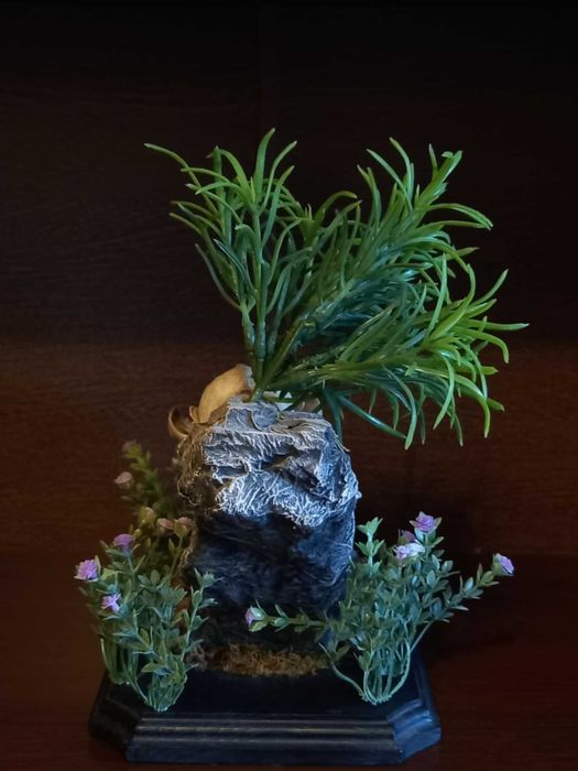 trofeu,trofee,craniu de vulpe cu decor Germania