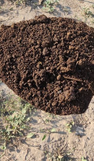 Biogomes 1kg 1ming som