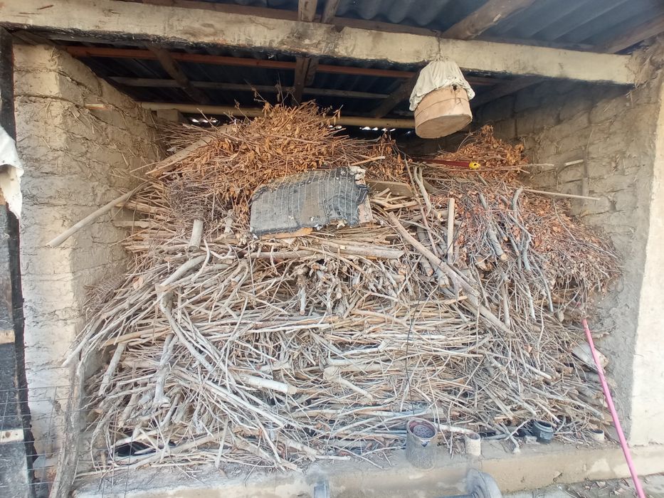 Otin yirik va mayda oʻtin