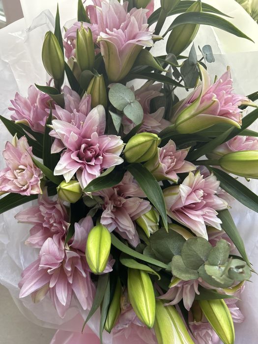 Продаю цветы розы сегодняшние