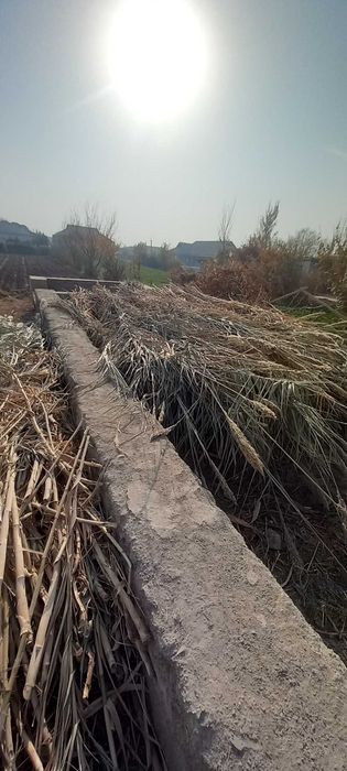 G'arov shakarqamish sotiladi