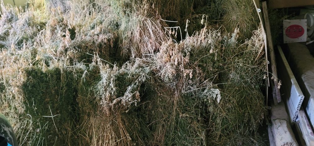 Беда сотилади карта карта бойланган