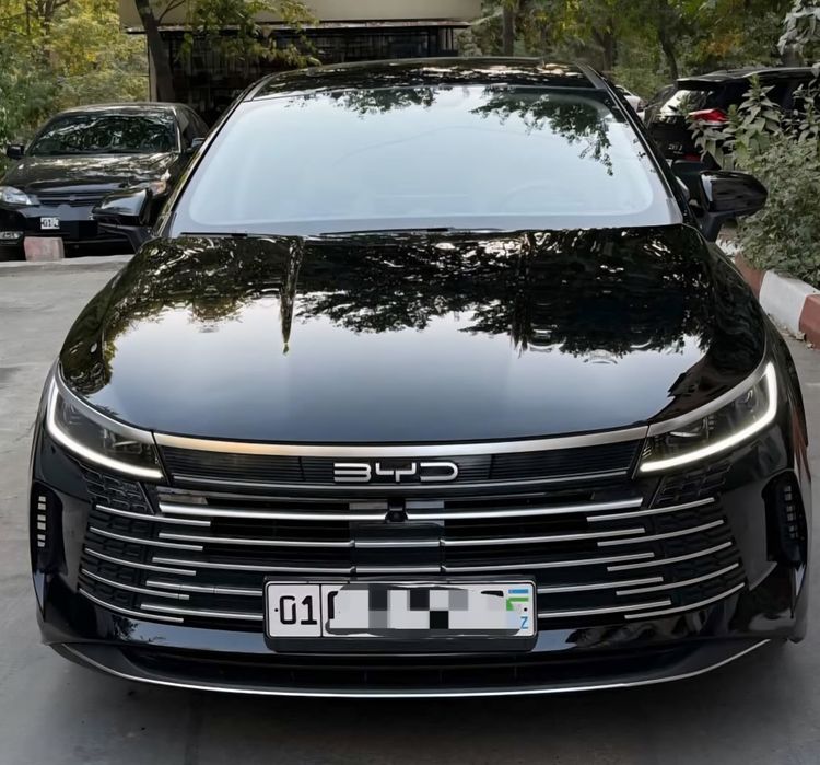 BYD Chazor 2024 — 2