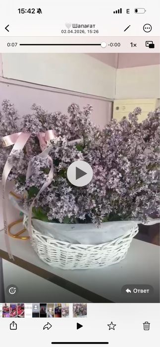 Цветы әдеми гүл әдеми